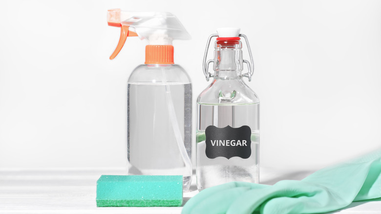 Bottle of white vinegar