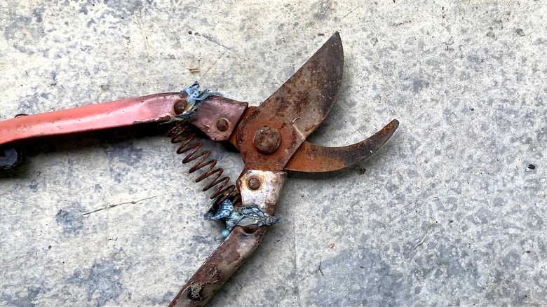 Rusty shears on concrete