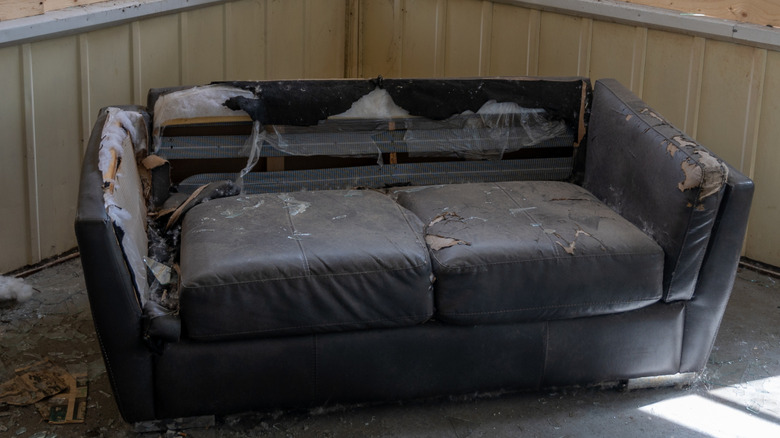Destroyed couch sits abandoned