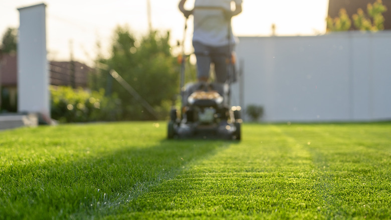 Man mowing a lush green lawn.