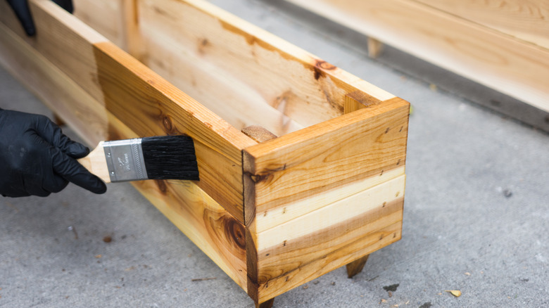 person staining a flower box