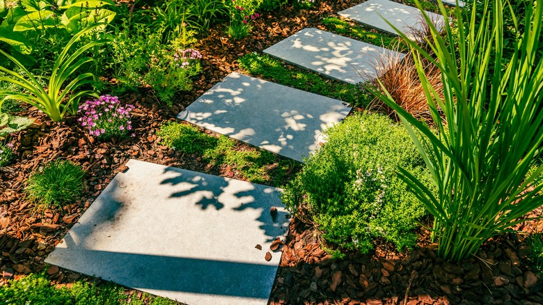 Garden pathway with stone