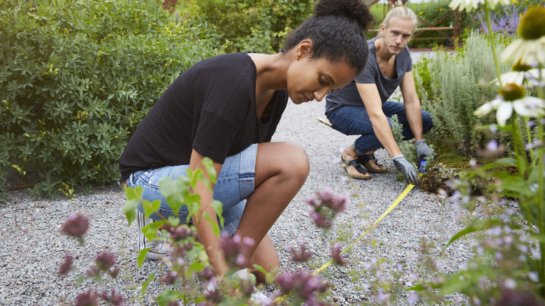A couple measures the ground along a path in a garden