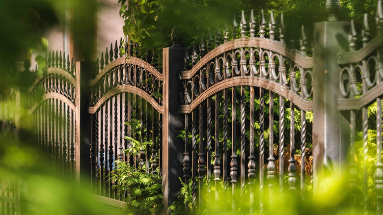 A black wrought iron fence is surrounded by greenery