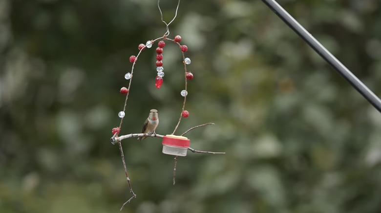 a hummingbird on a DIY swing and feeder with beads attached
