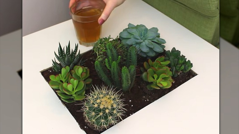 Hand placing a glass of iced tea on an IKEA table converted into a planter.