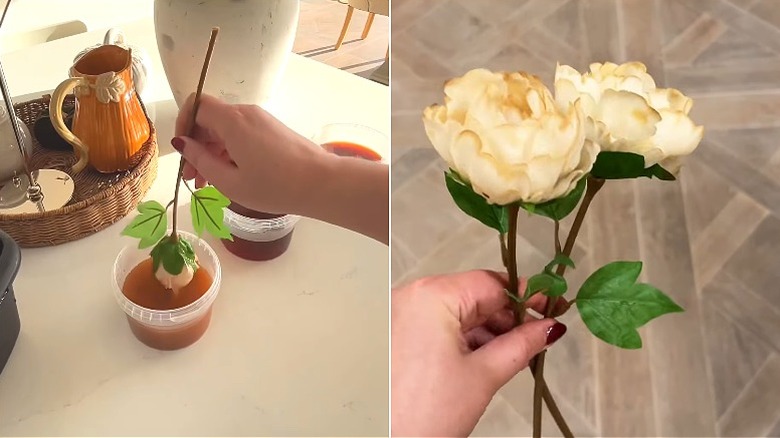 Split image showing white flower being dipped in tea on the left, and the resulting tea-stained flowers on the right.