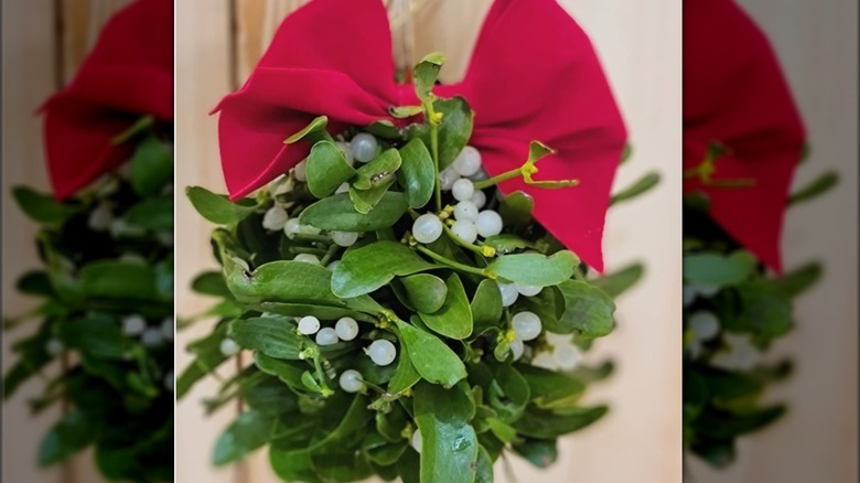 kissing ball with red ribbon