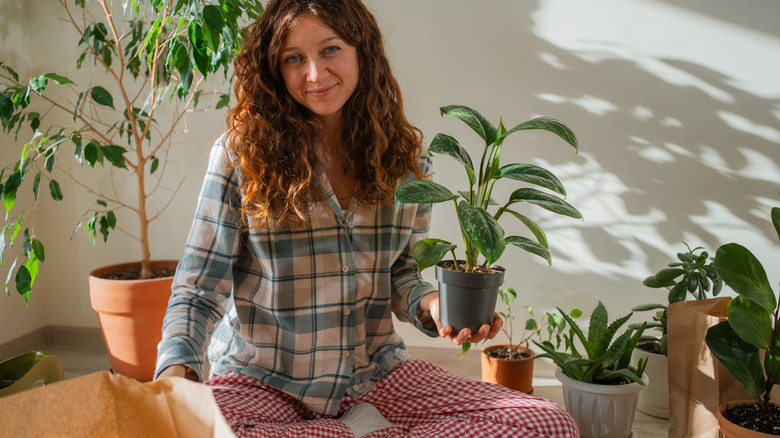 Woman is surround by houseplants and holding one of them.