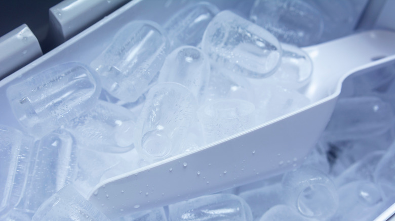 Scoop holding ice cubes