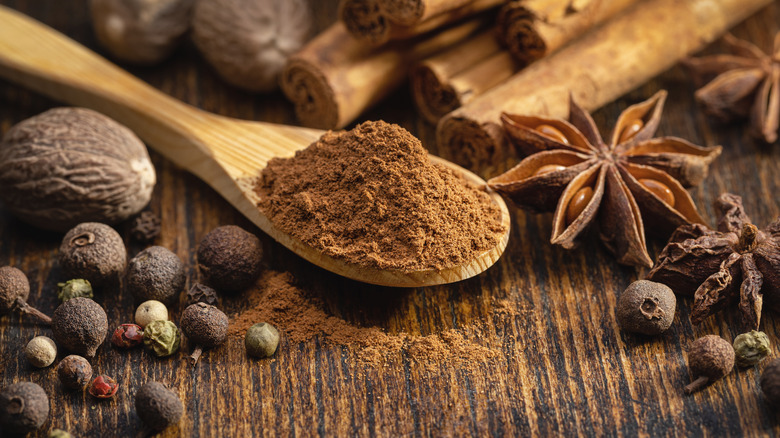 Ground cinnamon on spoon