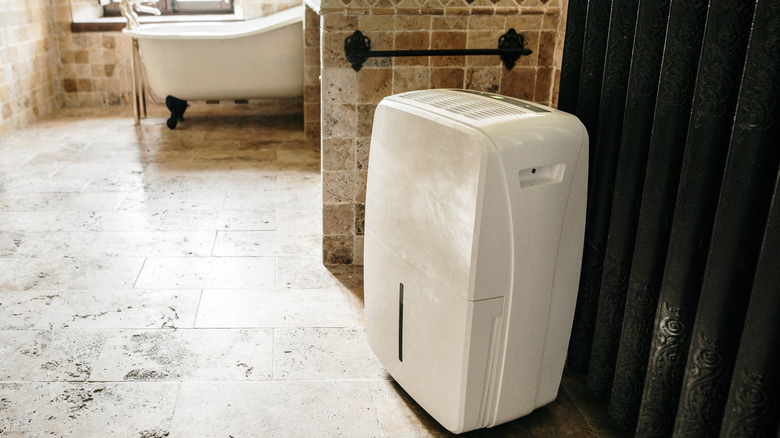 Dehumidifier in bathroom