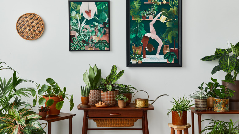 A part of a room filled with woodsy and natural decor with plenty of greenery and greenery-themed pictures