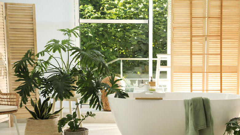 A bathroom full of plants.
