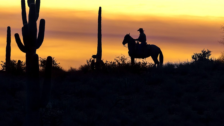Silhouette of a cowboy on a horse in an area with cacti and an orange sky