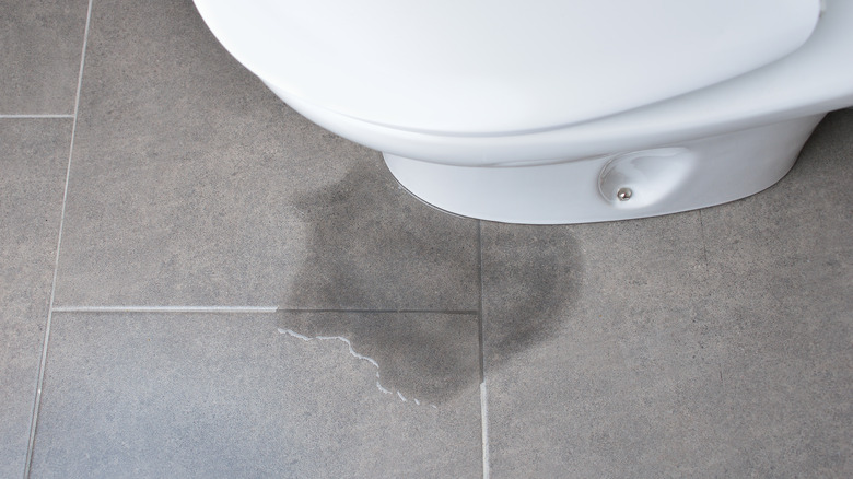 Leaking toilet caused by clogging