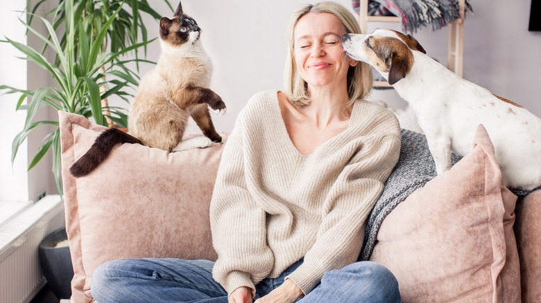 person on couch with pets