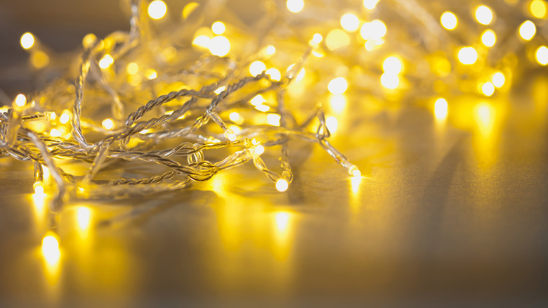 tangled lights