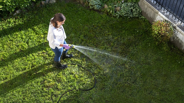 Backyard lawn getting watered