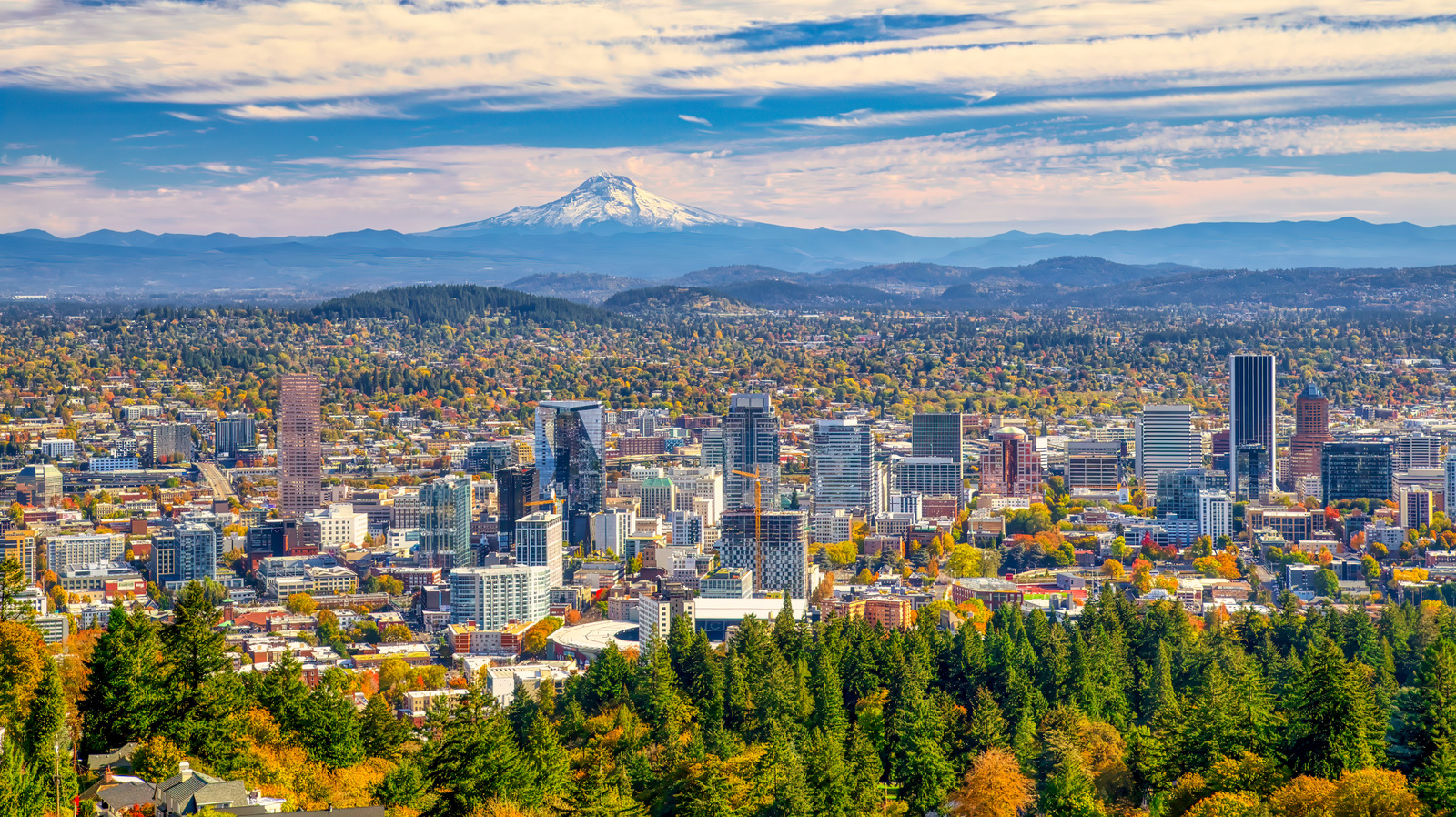 What’s The Most Popular House Style To Sell And How Much Is It Worth?