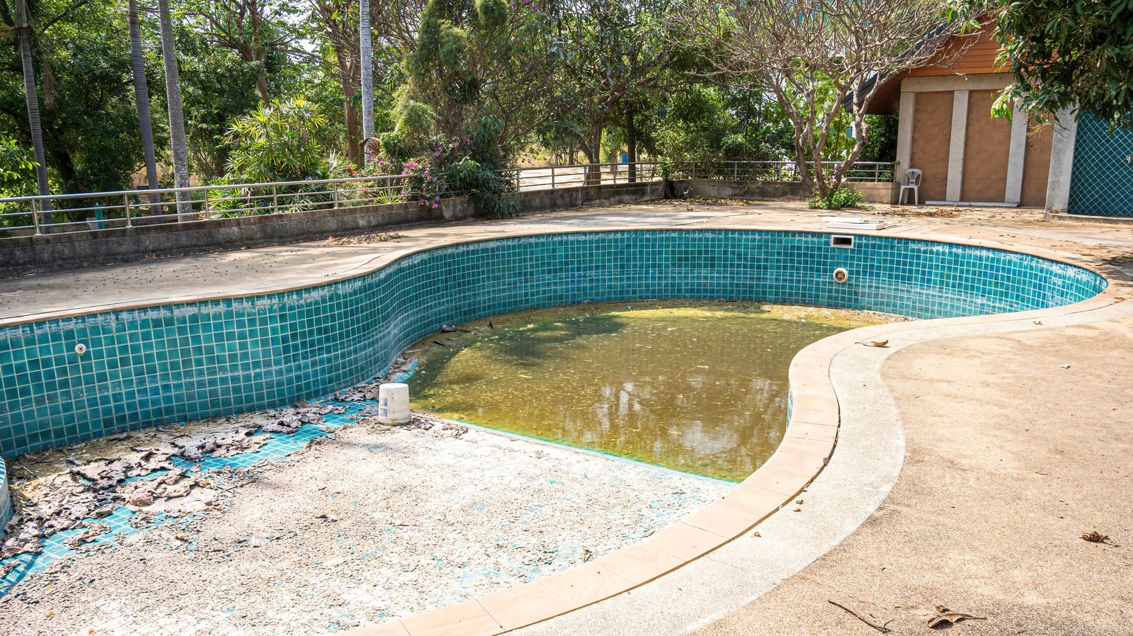 Down Pool This Homeowner Turned An Old Run-Down Pool Into A Tranquil Escape ...