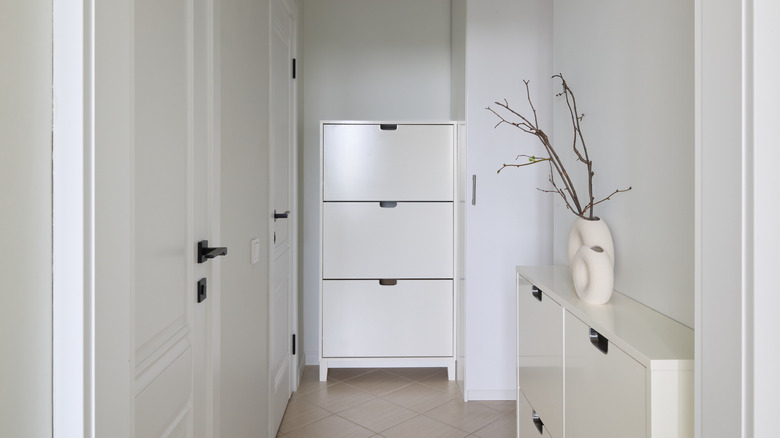 A minimalist hallway with a white basic shoe cabinet