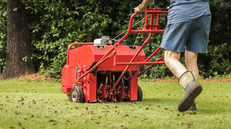 Person aerating the lawn