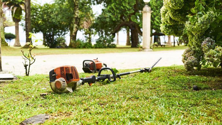 Weeding tools on a green grass lawn with trees surrounding.
