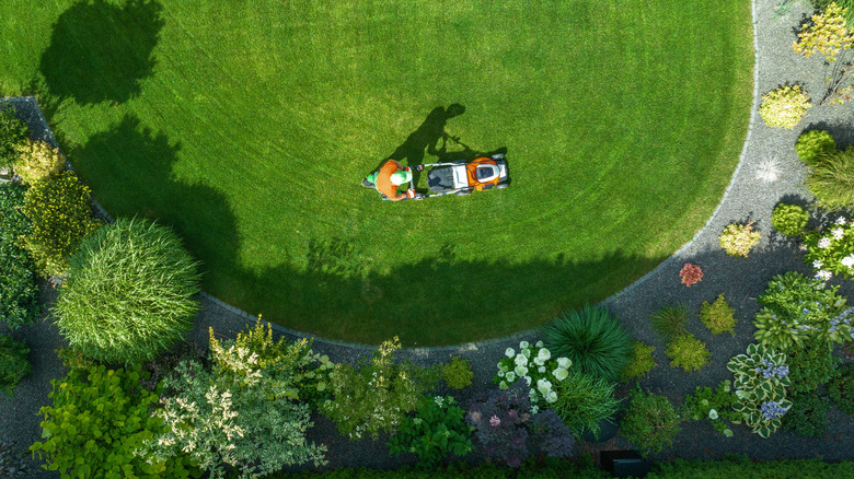 Overhead view of person pushing lawn mower