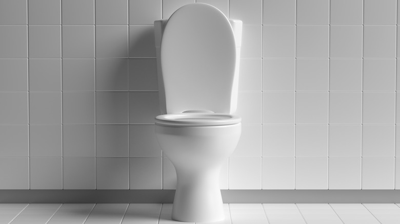 clean white toilet with open lid