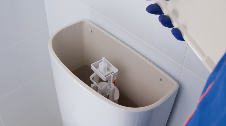 inside view of toilet tank