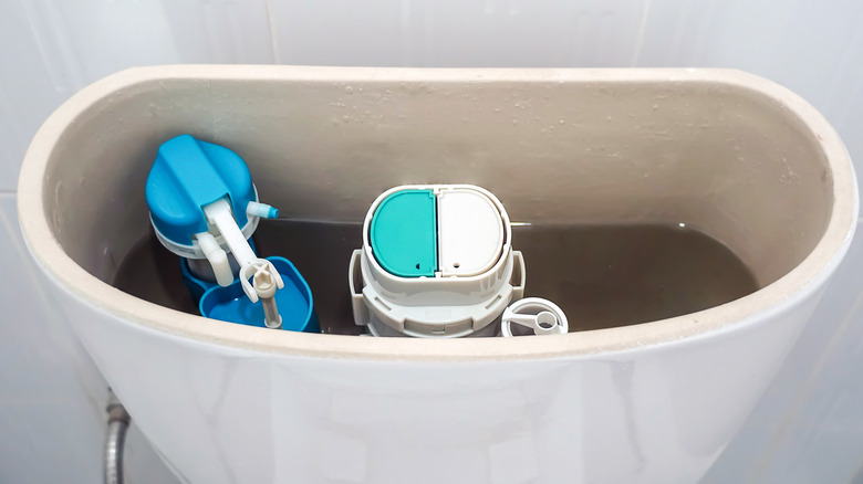 The view inside a toilet tank