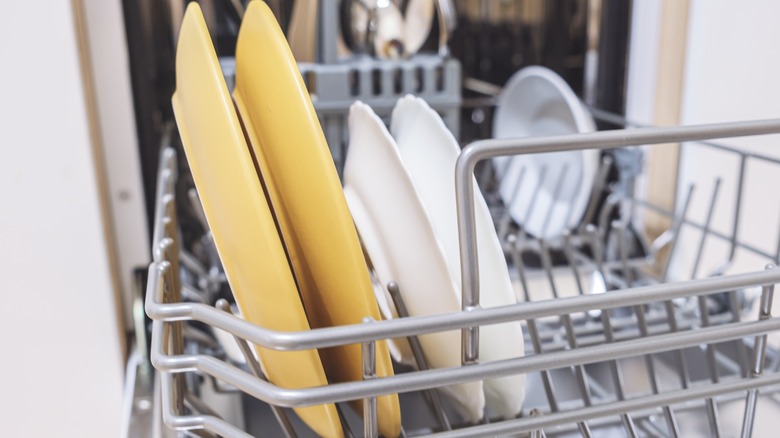 dishes in dishwasher