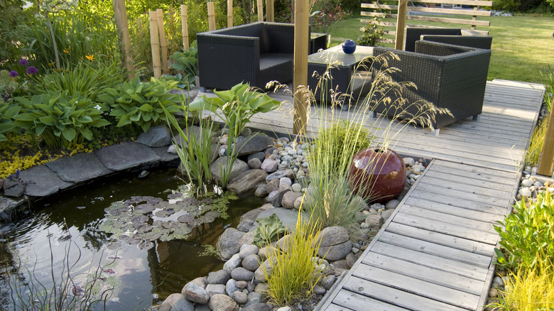 pond in yard