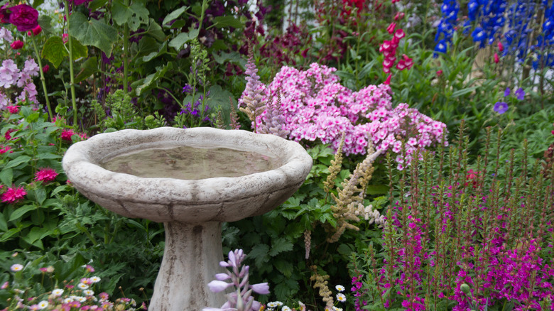 A birdbath in a garden