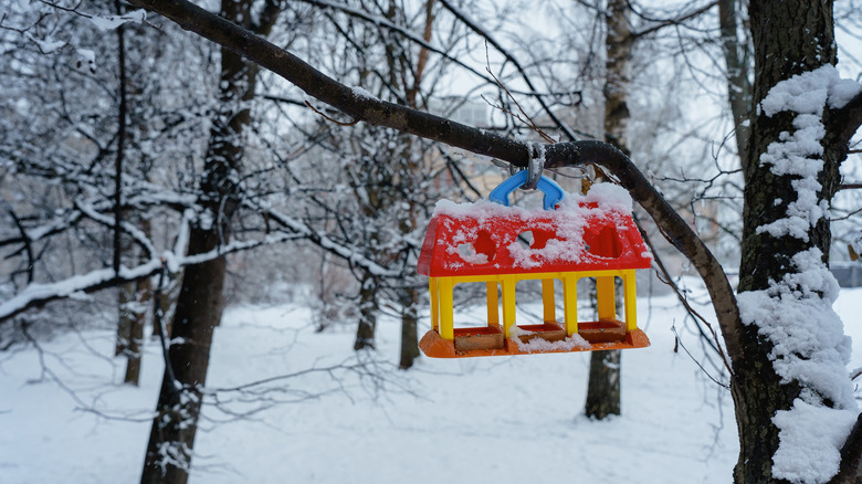 Bird feeder sits empty of birds in a snowy scene.