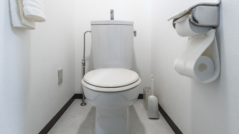 Japanese toilet sink 
