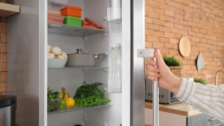 Person opening fridge