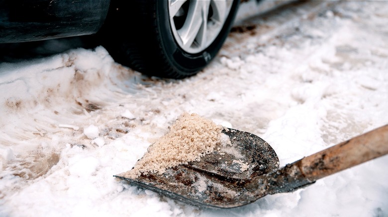 Shovel with rock salt