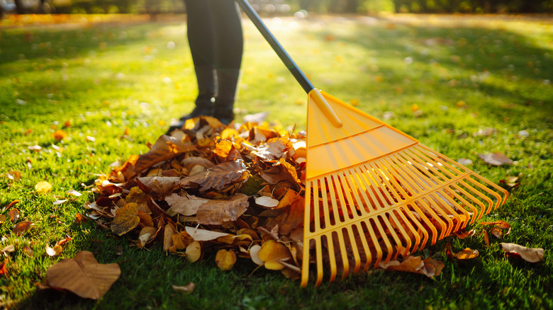 This Lawn Mistake Will Make Raking Leaves So Much Harder