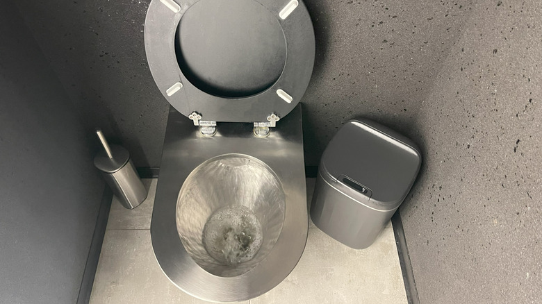 A stainless steel toilet beside stainless steel trash bin and toilet brush in a small bathroom.