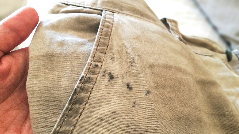 Grease stain on pants' pocket