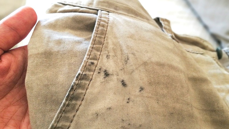 This Natural Ingredient Works Wonders On Even The Toughest Of Stains