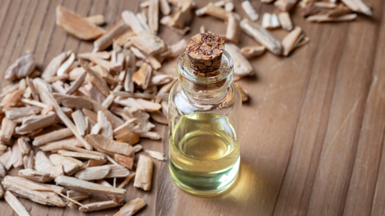 glass bottle with cork half-filled with cedar oil and surrounded by cedar wood chips.