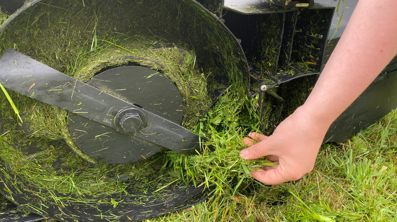 Woman clearing grass from a walk-behind mower's deck