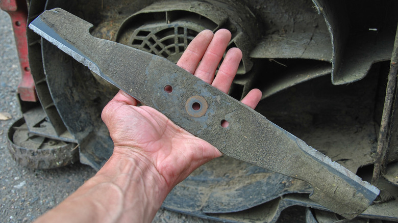 Man holding a mower blade in need of sharpening or replacement