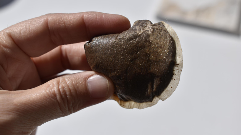 A hand holding a wet tea bag over a white table