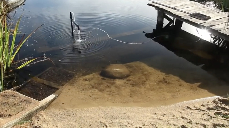 A sandy beach at the edge of an organic pool