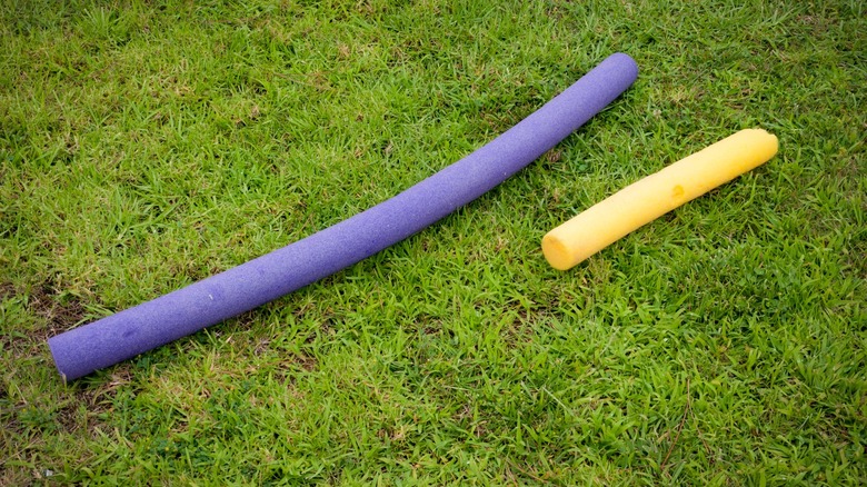 pool noodles on grass