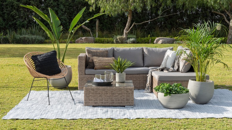 Backyard patio with potted plants
